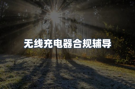 无线充电器合规辅导
