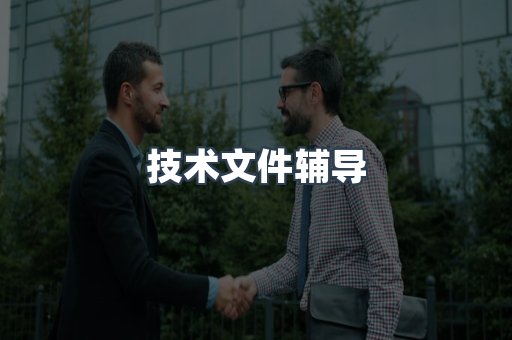 技术文件辅导