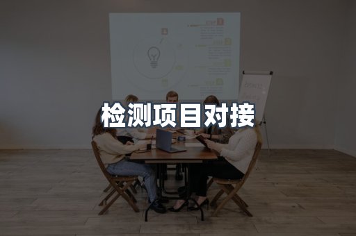 检测项目对接